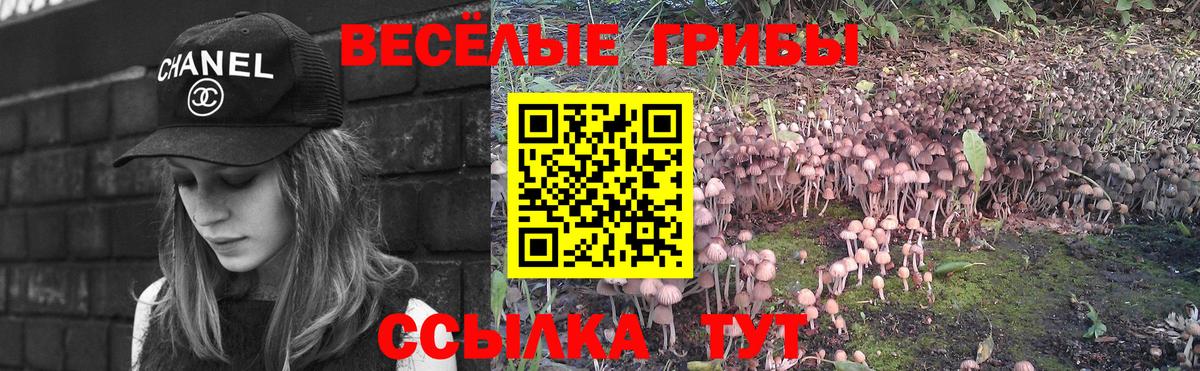 закладки  Псилоцибиновые грибы MAGIC MUSHROOMS  Вход с VPN  Таганрог 